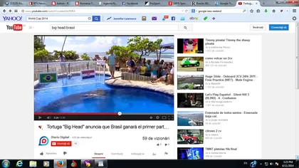 Cupa Mondială 2014. Ţestoasa Big Head a anunţat câştigătoarea partidei de deschidere, Brazilia - Croaţia VIDEO