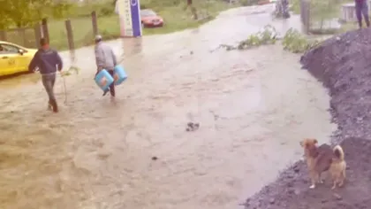 POTOP în Sibiu: O viitură puternică a inundat gospodăriile din Sibiu VIDEO