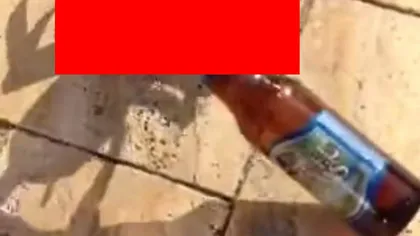 VIRALUL VERII. Un CRUSTACEU fură BEREA unui bărbat direct de pe plajă: Vino aici, e băutura mea VIDEO