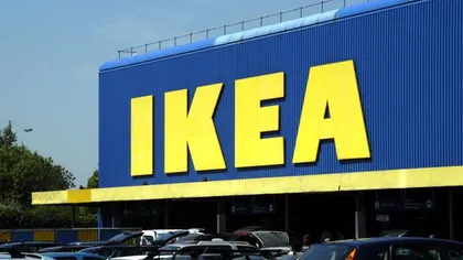 Grupul Ikea a cumpărat 33.600 de hectare de pădure în centrul şi nord-estul României
