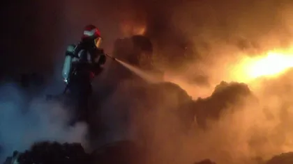 Incendiu PUTERNIC lângă Combinatul Arpechim, în Piteşti VIDEO