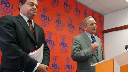 FUZIUNEA PNL-PDL. Cum se va numi viitorul partid. Propunerea lui Stolojan