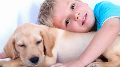 Reguli pe care copiii trebuie să le ştie ca să nu fie muşcati de câini