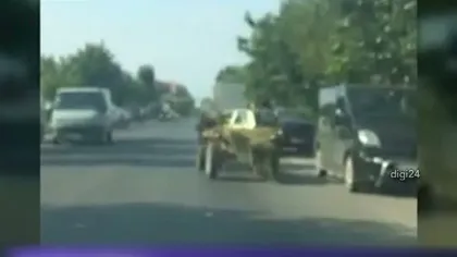 Un cal a făcut PRĂPĂD în Târgovişte. Animalul a distrus ŞAPTE maşini VIDEO