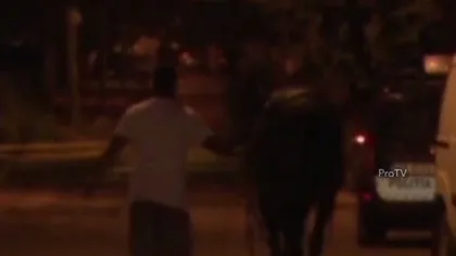 Clipe de PANICĂ în Târgovişte. Un cal, scăpat din ham, a DISTRUS mai multe maşini VIDEO