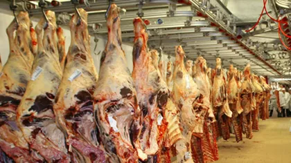 România nu exportă bovine şi carne de bovine în Rusia. Autorităţile ruse interzic ceva ce nu există