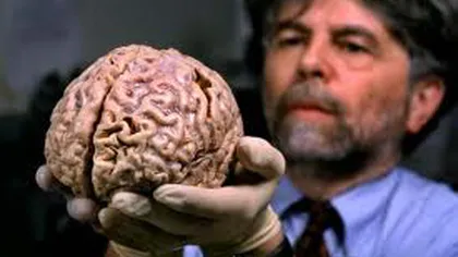 Mituri uluitoare despre creierul uman. Ce este adevărat şi ce este fals