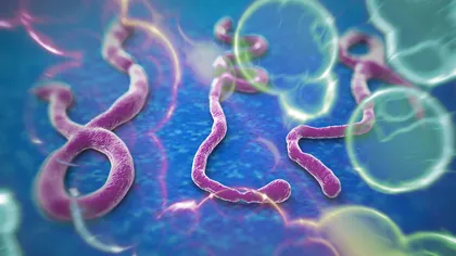 Un BĂRBAT cu simptome de Ebola a MURIT în spital