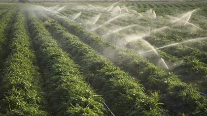 O fermă a investit 400.000 euro într-un sistem de irigaţii unic în Oltenia