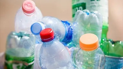 De ce NU trebuie să reutilizezi o sticlă de plastic