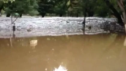 Situaţie CRITICĂ la Caracal, din cauza inundaţiilor. Localnicii spun că şi-au văzut MOARTEA cu OCHII VIDEO