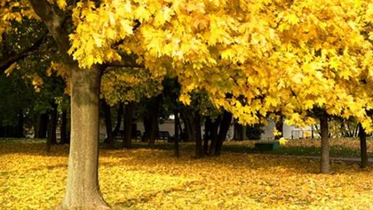 Horoscop octombrie 2014: Scântei în cuplu pentru Gemeni, Vărsător şi...