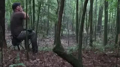 A URLAT în pădure, dar nu se aştepta să primească drept răspuns aceste SUNETE TERIFIANTE VIDEO
