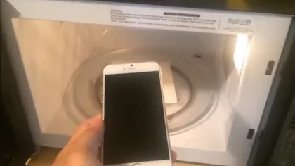 Ce se întâmplă dacă pui un iPhone 6 în cuptorul cu microunde. Anunţul OFICIAL al Apple