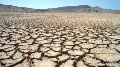 PROGNOZA AGROMETEO: Seceta va continua să afecteze mai multe suprafeţe agricole din ţară