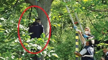 Student găsit spânzurat într-o pădure. Avea în buzunar fotografia unei fete