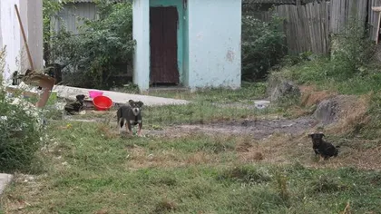 Copiii dintr-o localitate din SUCEAVA învaţă la etajul cârciumii din sat. Micuţii împart WC-ul cu chefliii