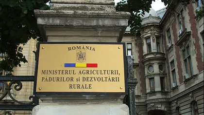 MADR: România nu susţine plafonarea plăţilor directe şi cofinanţarea din surse naţionale a sumelor plătite pe suprafaţa agricolă