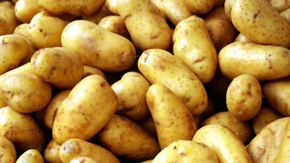 Cartofii albi versus cei roşii: Care sunt mai sănătoşi