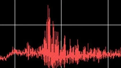 Cutremur cu magnitudine 3.1 în Vrancea