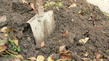 Un proiectil din cel de-al Doilea Război Mondial, găsit într-o grădină din Slobozia