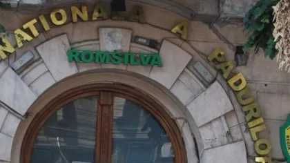 Romsilva consideră nefundamentate afirmaţiile potrivit cărora a fost prejudiciată cu 300 milioane euro