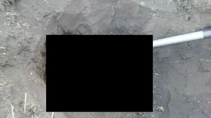Ce a găsit un bărbat în timp ce săpa o GROAPĂ în CURTE: Nu mi-a venit să cred FOTO