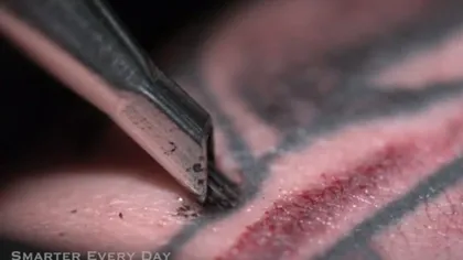 Ce se întâmplă cu pielea în timpul realizării unui tatuaj VIDEO