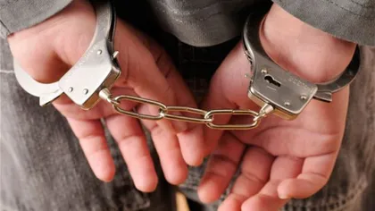 Patru traficanţi de canabis, arestaţi preventiv pentru 30 de zile