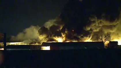 Incendiu PUTERNIC în Ilfov. O hală cu materiale plastice a fost mistuită de flăcări