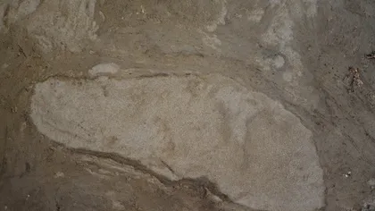 Urme de PAŞI UMANI din Epoca de Piatră, descoperite în Danemarca FOTO