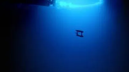 Un robot subacvatic a pătruns în lumea necunoscută de sub gheaţa Antarcticii. Ce a găsit acolo VIDEO