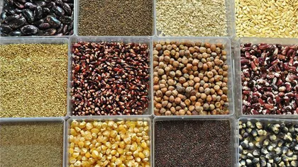 Dietă: 5 super-seminţe cu puteri miraculoase pentru sănătate şi siluetă