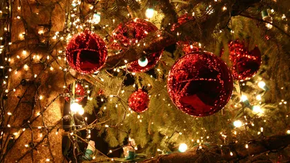 Pomul de Crăciun, între clasic şi excentric GALERIE FOTO