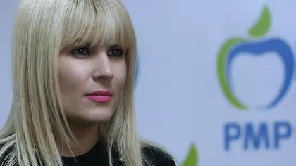 Elena Udrea: PMP susţine ideea formării unui guvern de uniune naţională