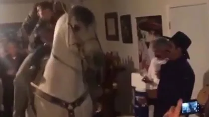 Un cal a fost invitat la o PETRECERE şi nu a dezamăgit. Ce a urmat este uimitor VIDEO