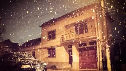 Ninge ca-n poveşti în România. FOTO