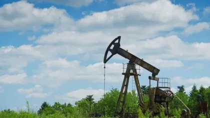 Veste bună pentru România: Zăcământ URIAŞ de petrol descoperit la Buzău