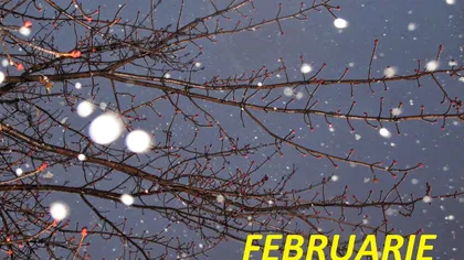 HOROSCOP FEBRUARIE 2015: Ce v-au rezervat astrele în cea mai scurtă lună din an