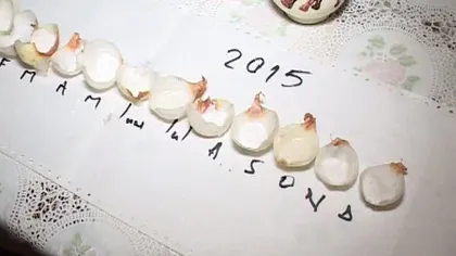 Calendarul cepei. Cum va fi vremea în 2015 VIDEO