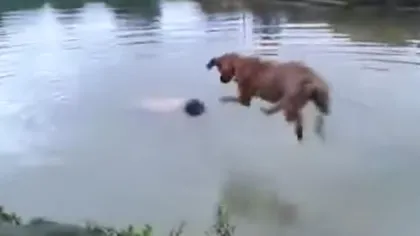 Un câine îşi salvează stăpânul de la ÎNEC în cel mai amuzant mod cu putinţă VIDEO