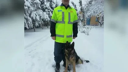 Hero, câinele erou al Poliţiei Române VIDEO