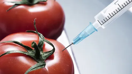 Parlamentul European a decis: Statele membre UE pot alege dacă interzic sau aprobă cultivarea de OMG