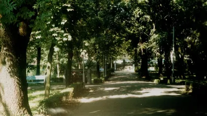 Primăria Arad a anunţat transformarea Parcului Eminescu în PARCARE. Localnicii sunt REVOLTAŢI