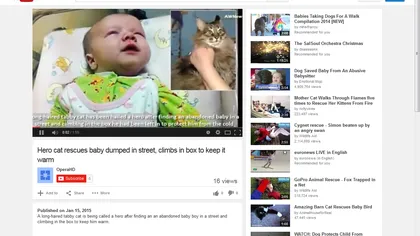 Impresionant: O pisică a salvat un bebeluş de la moarte VIDEO
