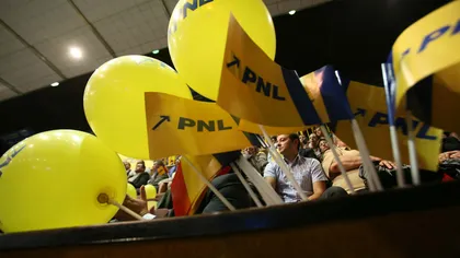 PNL cere Guvernului să organizeze alegeri în localităţile care nu mai au primari şi preşedinţi de CJ