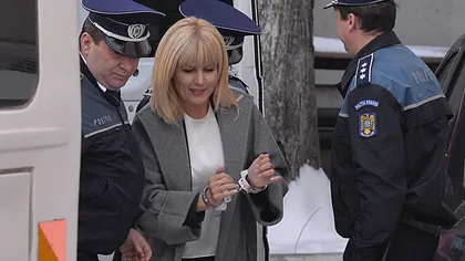 Elena Udrea îşi face strategia de eliberare. Cum speră fostul ministru al Turismului să scape de arest