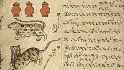Horoscopul thailandez: Care sunt cele 12 animale alese de Buddha
