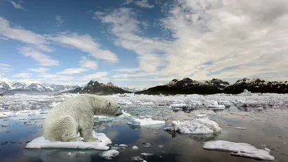 ÎNCĂLZIRE GLOBALĂ 63% din suprafața gheţarilor din Anzii tropicali s-a topit în ultimii 50 de ani
