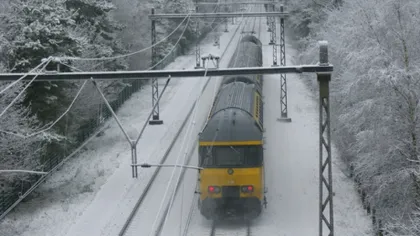 COD GALBEN de ninsori şi viscol. Aproape 30 de trenuri au fost anulate din cauza condiţiilor meteo